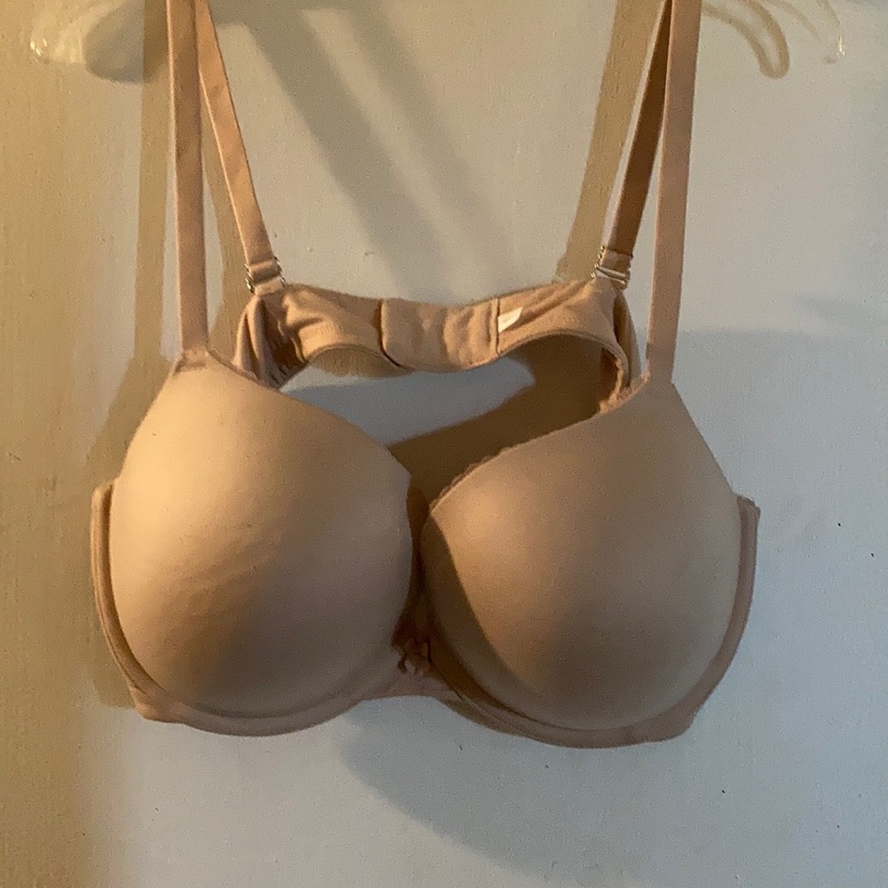 Torrid Plunge Bra